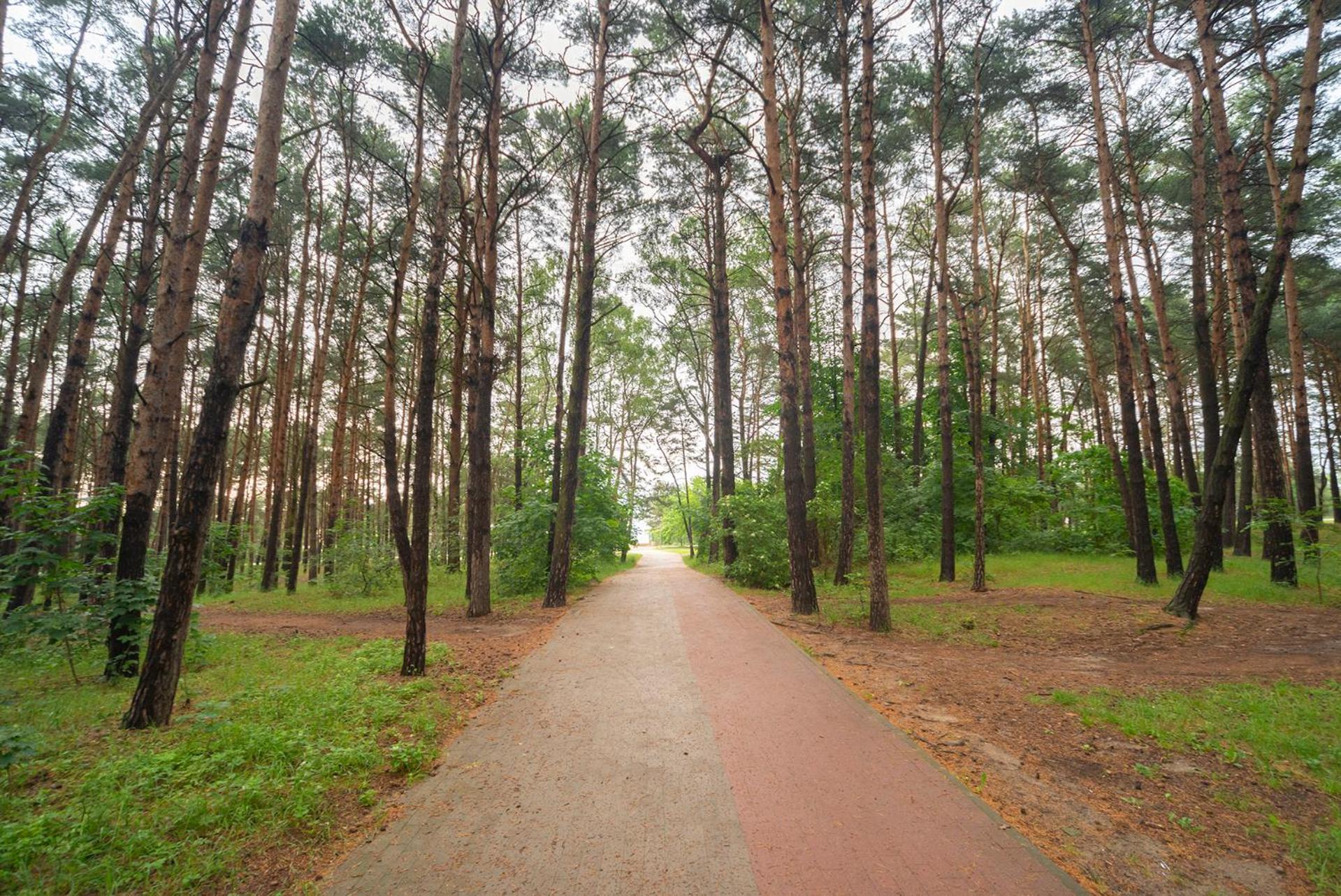 Apartament Wygodny โซพอต ภายนอก รูปภาพ